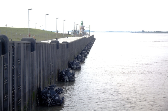 Polyurethaan EVA Filled Fender Foam Buoy met Bootdelen en Toebehoren