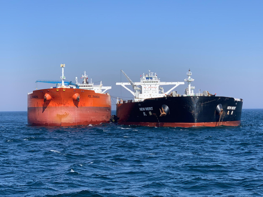 Het Certificaatnatuurrubber Marine Fender van BV voor Schip het Dokken