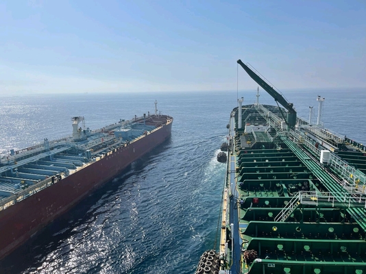Het Certificaatnatuurrubber Marine Fender van BV voor Schip het Dokken