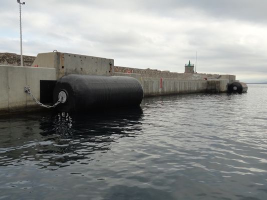 Aangepast Drijvend Schuim Gevuld Stootkussen met Band en Ketting