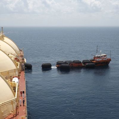 ABS CCS Yokohama Stootkussen voor Boot die Grote Elasticiteit Marine Rubber Buffer vastleggen