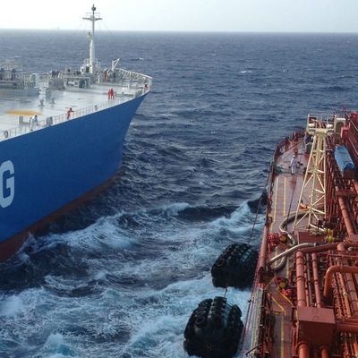 ABS CCS Yokohama Stootkussen voor Boot die Grote Elasticiteit Marine Rubber Buffer vastleggen