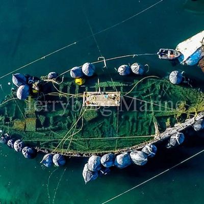 Het pneumatische RubberdieStootkussen van het het Natuurrubberschip van Stootkussenyokohama in China wordt gemaakt
